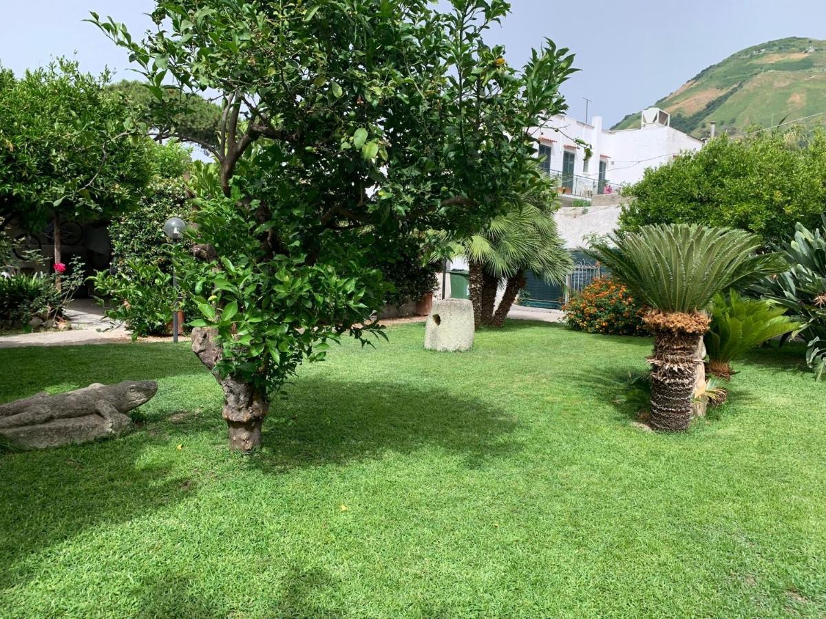 Garden Apartments Ischia Bilocale Super Centrale Forio di Ischia 외부 사진