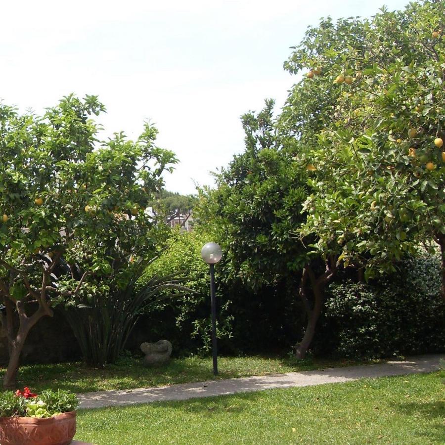 Garden Apartments Ischia Bilocale Super Centrale Forio di Ischia 외부 사진