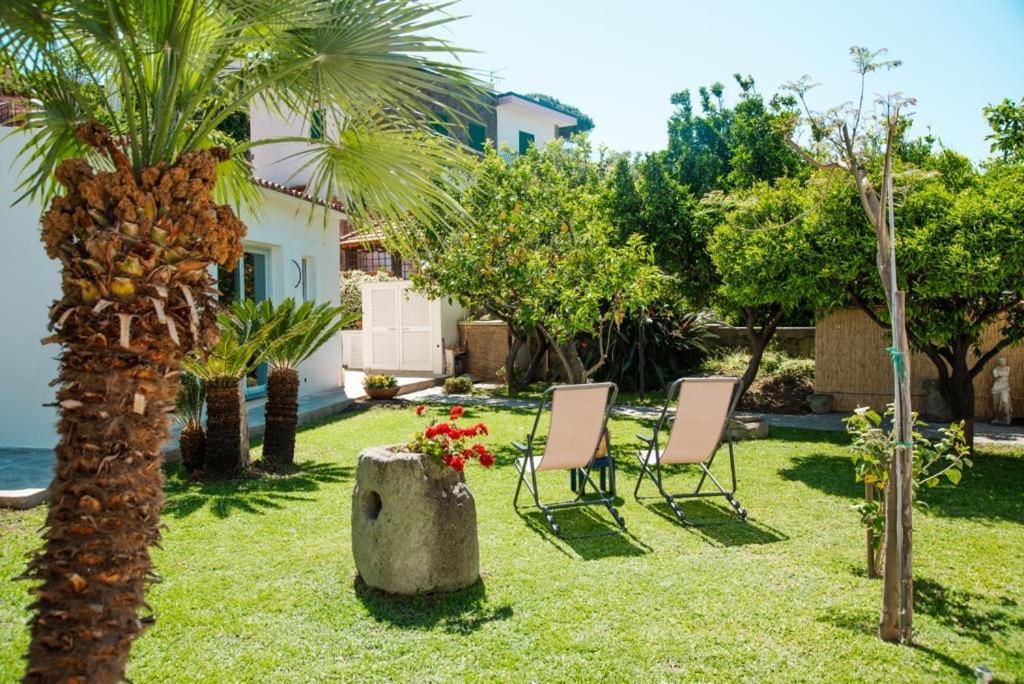 Garden Apartments Ischia Bilocale Super Centrale Forio di Ischia 외부 사진